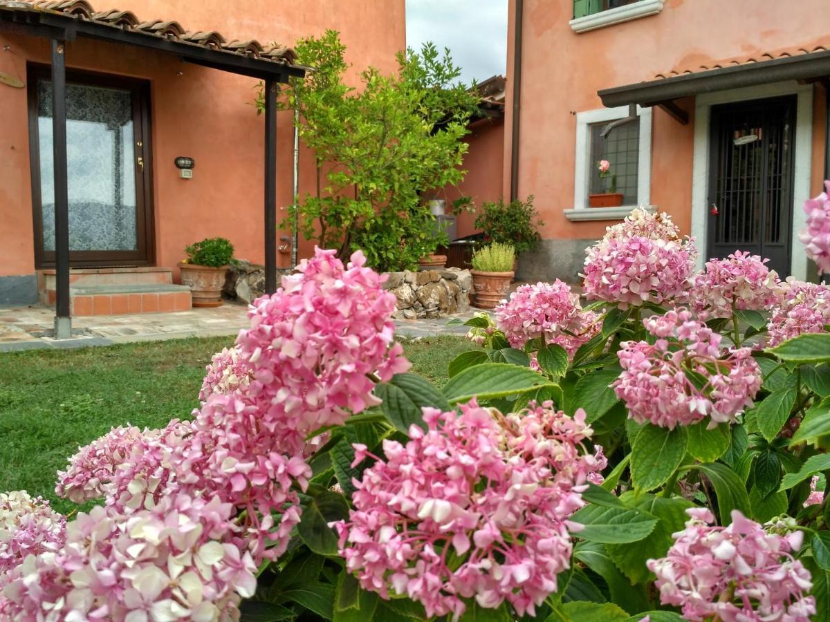 B&B Dama Sarzana Exterior foto